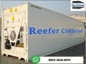Pusat Jual Cold Storage Reefer Container Pendingin Bekas